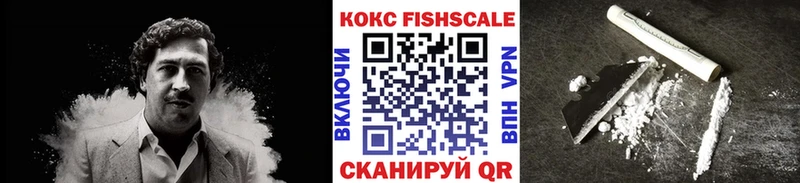 Cocaine FishScale  продажа наркотиков  Монино 