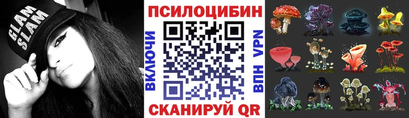 Псилоцибиновые грибы Cubensis  купить наркотики цена  Монино 